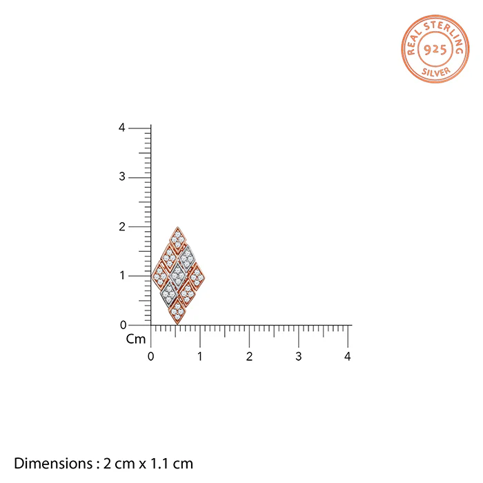Dual Tone Celeste Facet Silver Earrings - Image 4