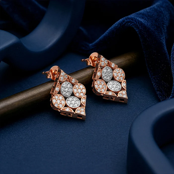 Dual Tone Celeste Grove Silver Earrings - Image 2