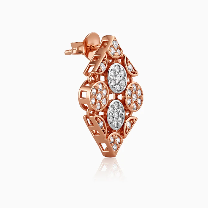 Dual Tone Celeste Grove Silver Earrings - Image 4