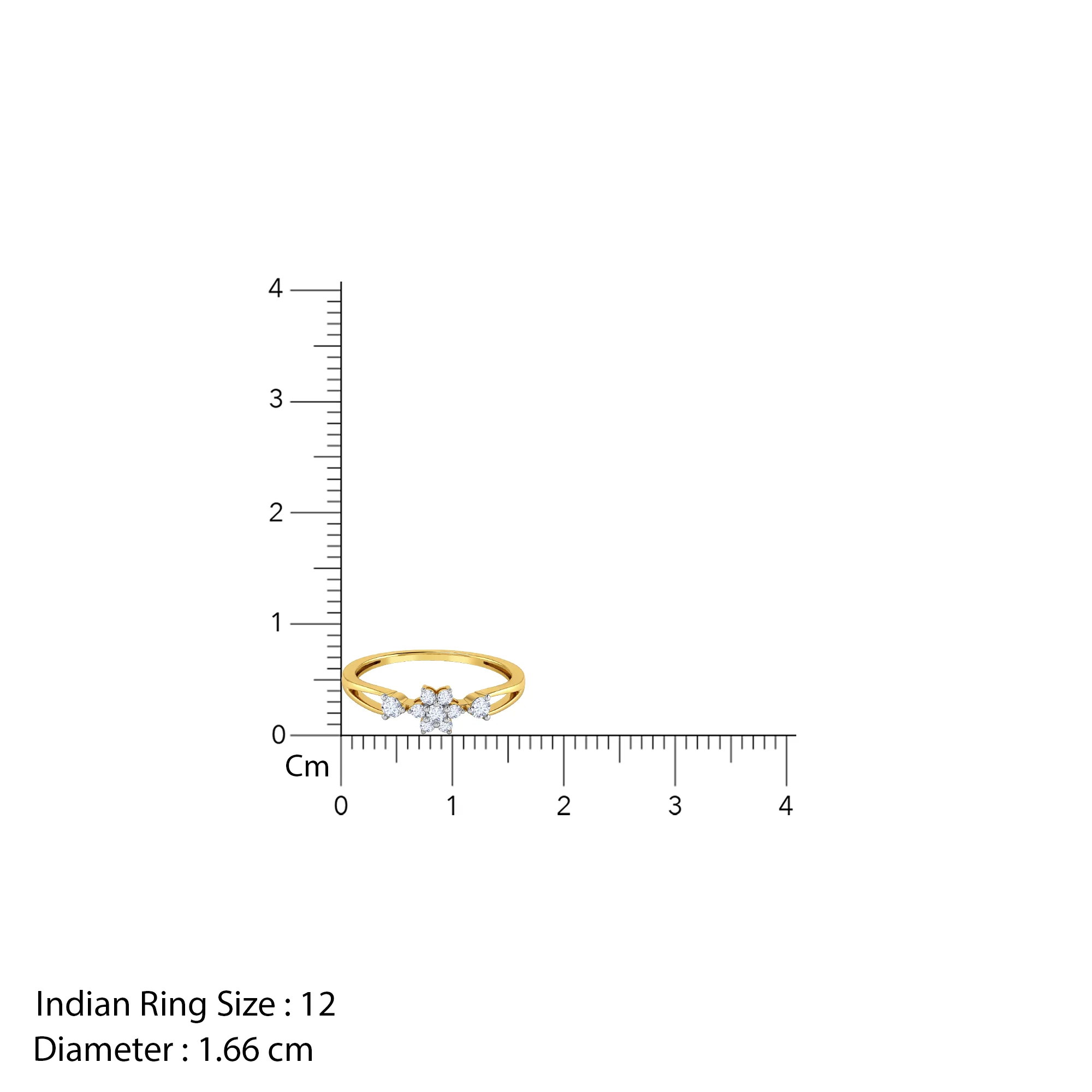 Gold Eterna Duo Lab Grown Diamond Ring (Size 12) - Image 5