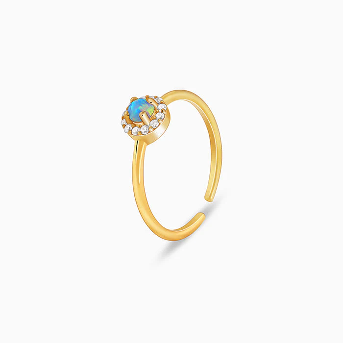 Golden Fabulous Ring - Image 4
