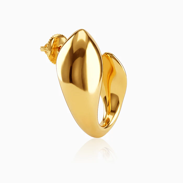 Golden Mod Dolphin Hoop Earrings - Image 4
