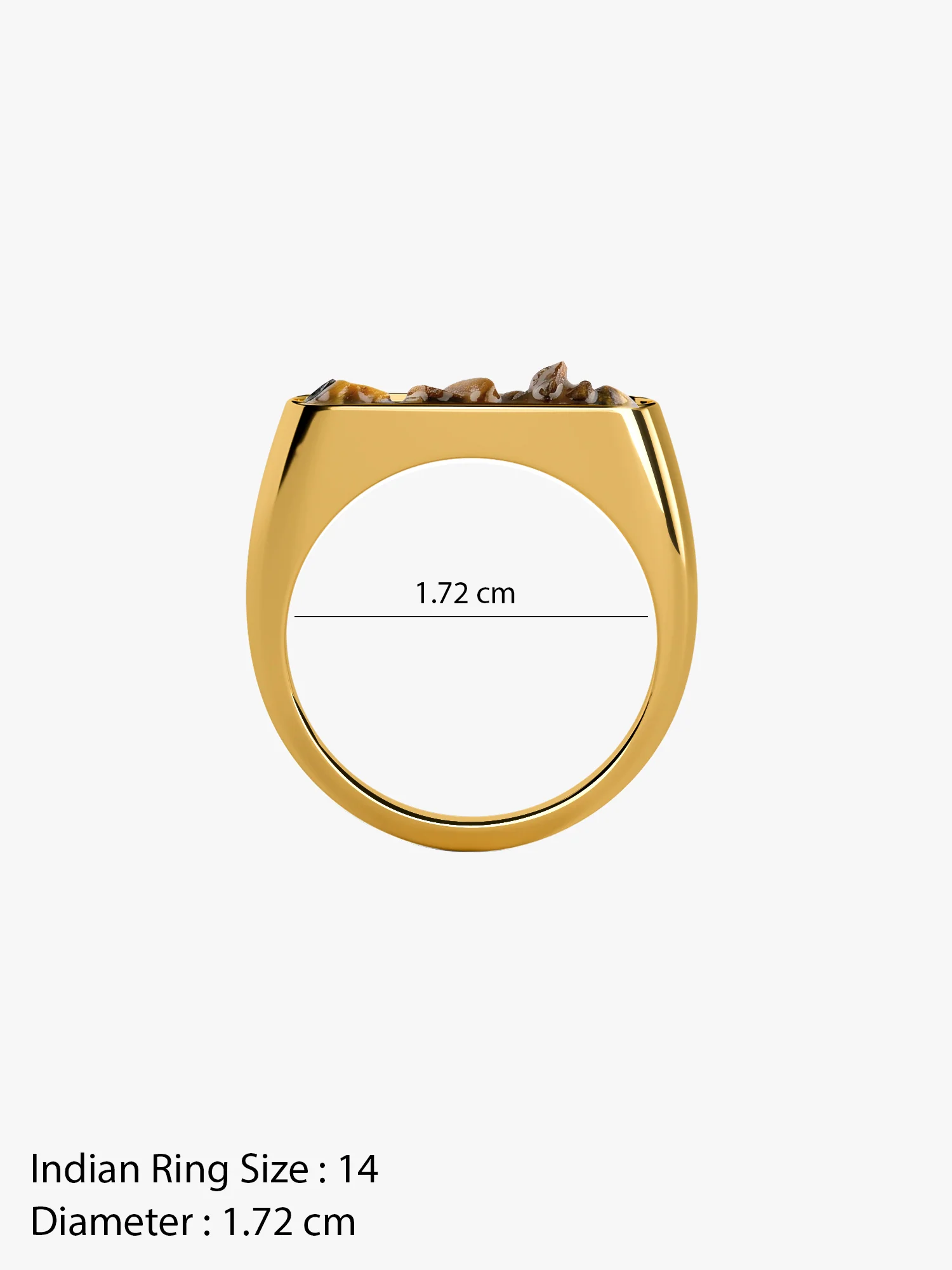 Noir Slay Gold Plated Ring (Size 14) - Image 6
