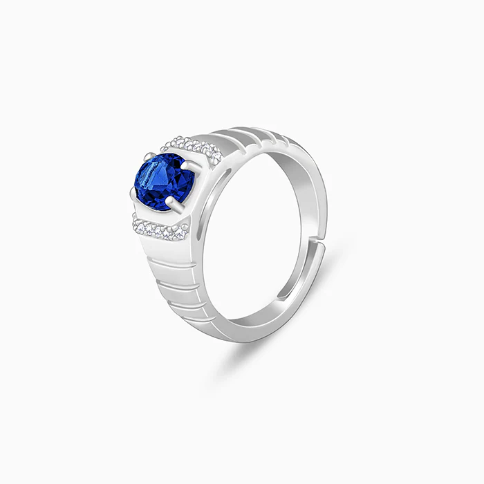 Silver Midnight Royalty Ring For Him - Image 4